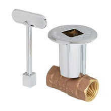 LOG LIGHTER STRAIGHT VALVE CP