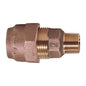 1 x 3/4" Adapter - Brass - Ranger Compression x MNPT