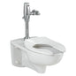 American Standard 2257528.020 Toilet Bowl, Afwall, White, Elongated Shape, 15 in H Rim, 2-1/8 in Trapway