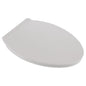 Seats - Contemporary Toilet Seat - Bottom - Elongated