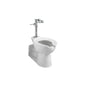 American Standard 6047161.002 Manual Exposed Toilet Flush Valve, 6.5 gpf Flush Rate, 1-1/2 in Spud, 25 psi Flowing/80 psi Static Pressure, Polished Chrome, Import