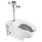 American Standard 624B121.002 Toilet Flush Valve, Selectronic Diaphragm FV, Power Source: Battery, 1.28 gpf Flush Rate, Polished Chrome, Import