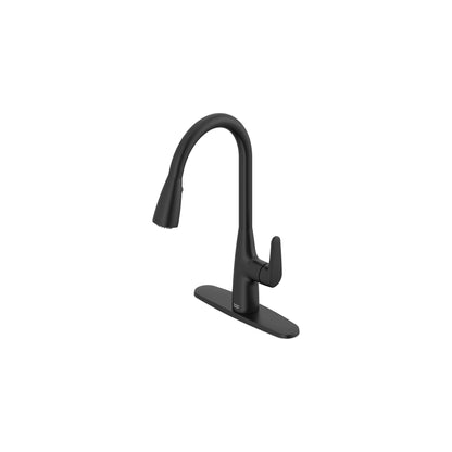 Colony Pro - 7077300 Pull Down Kitchen Faucet