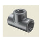 3" Standard Tee - PVC - FNPT