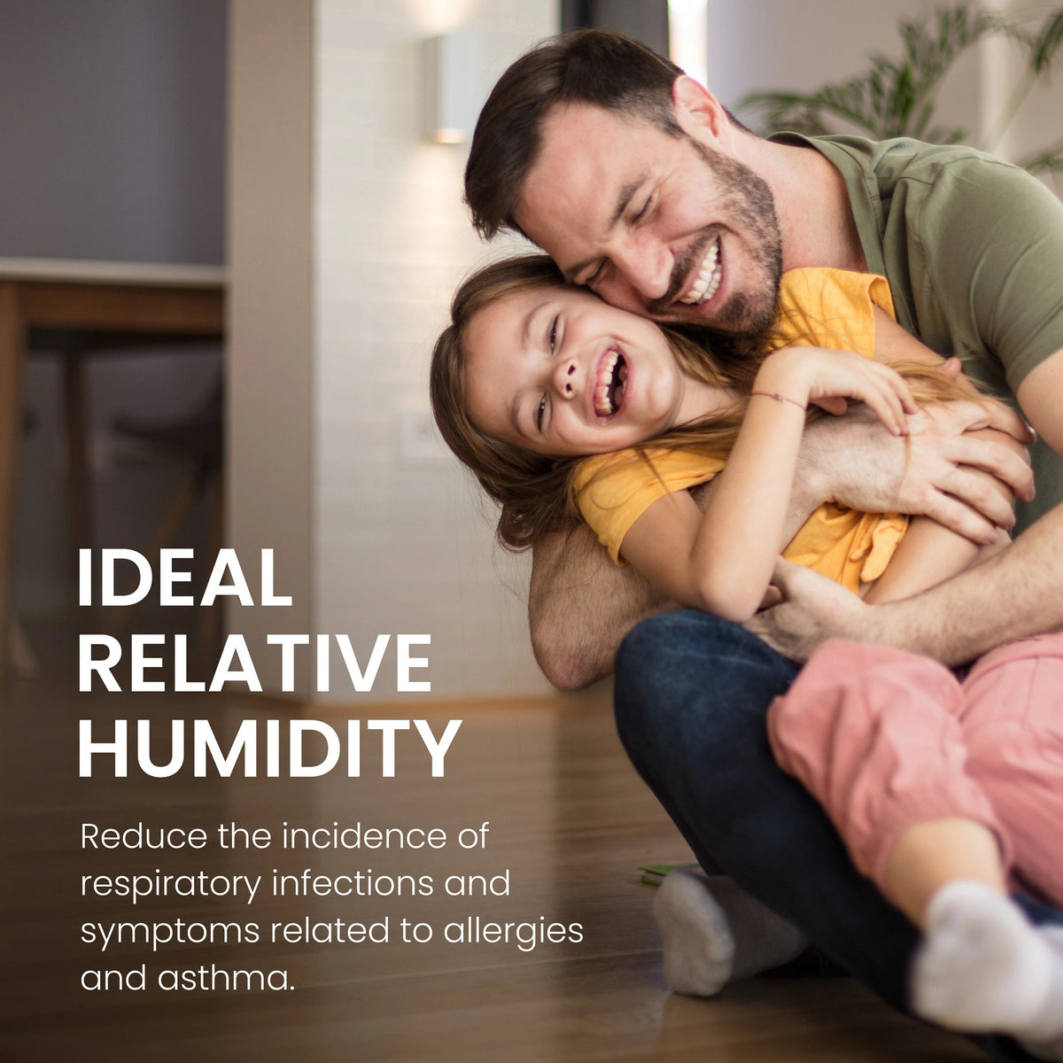 60 Automatic Digital Humidifier Control - AA60