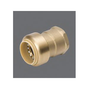 Proline - 3/4" Adapter - Brass - Push-Fit x FNPT