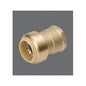 Proline - 3/4" Adapter - Brass - Push-Fit x FNPT
