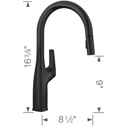 Rivana High Arc Pull-Down Dual-Spray - Kitchen Faucet