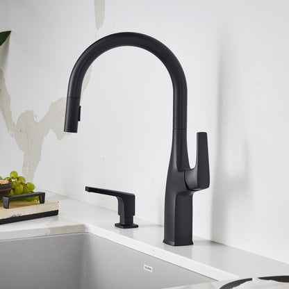 Rivana High Arc Pull-Down Dual-Spray - Kitchen Faucet