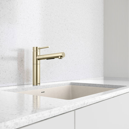 Alta Ii Low Arc Pull-Out Dual-Spray - Kitchen Faucet