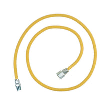 Cssl - 1/2" Gas Connector - MNPT x FNPT