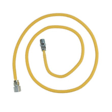 CSSL54 - 1/2" Gas Connector - Stainless Steel - MNPT x FNPT