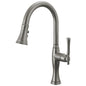 Pull-Down Kitchen Faucet - 63058LF-SL