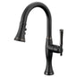 Pull-Down Kitchen Faucet - 8.688"