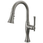 Pull-Down Kitchen Faucet - Luxe Steel
