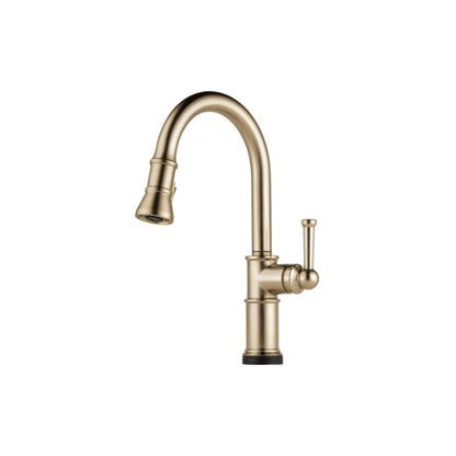 Brizo® 64025LF Kitchen Faucet