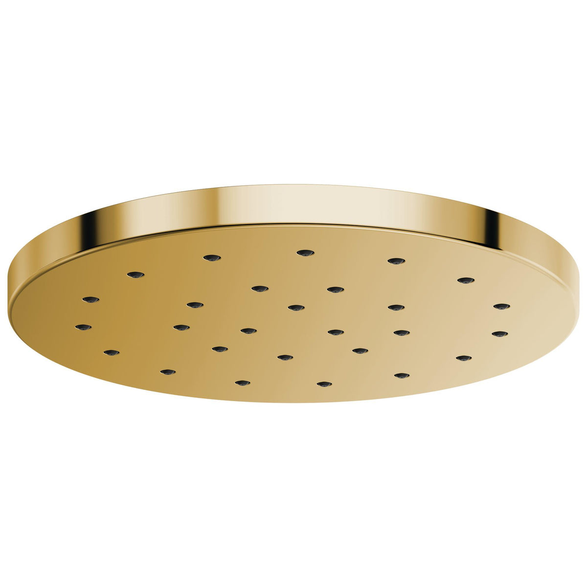 Showerhead - Stainless Steel