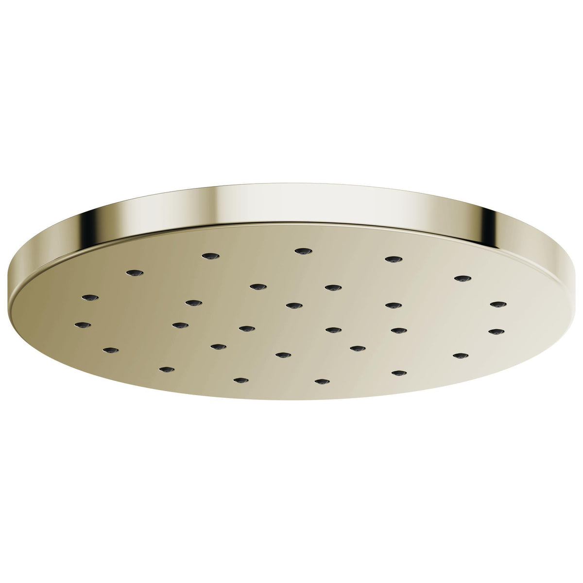 Showerhead - 81987-PN