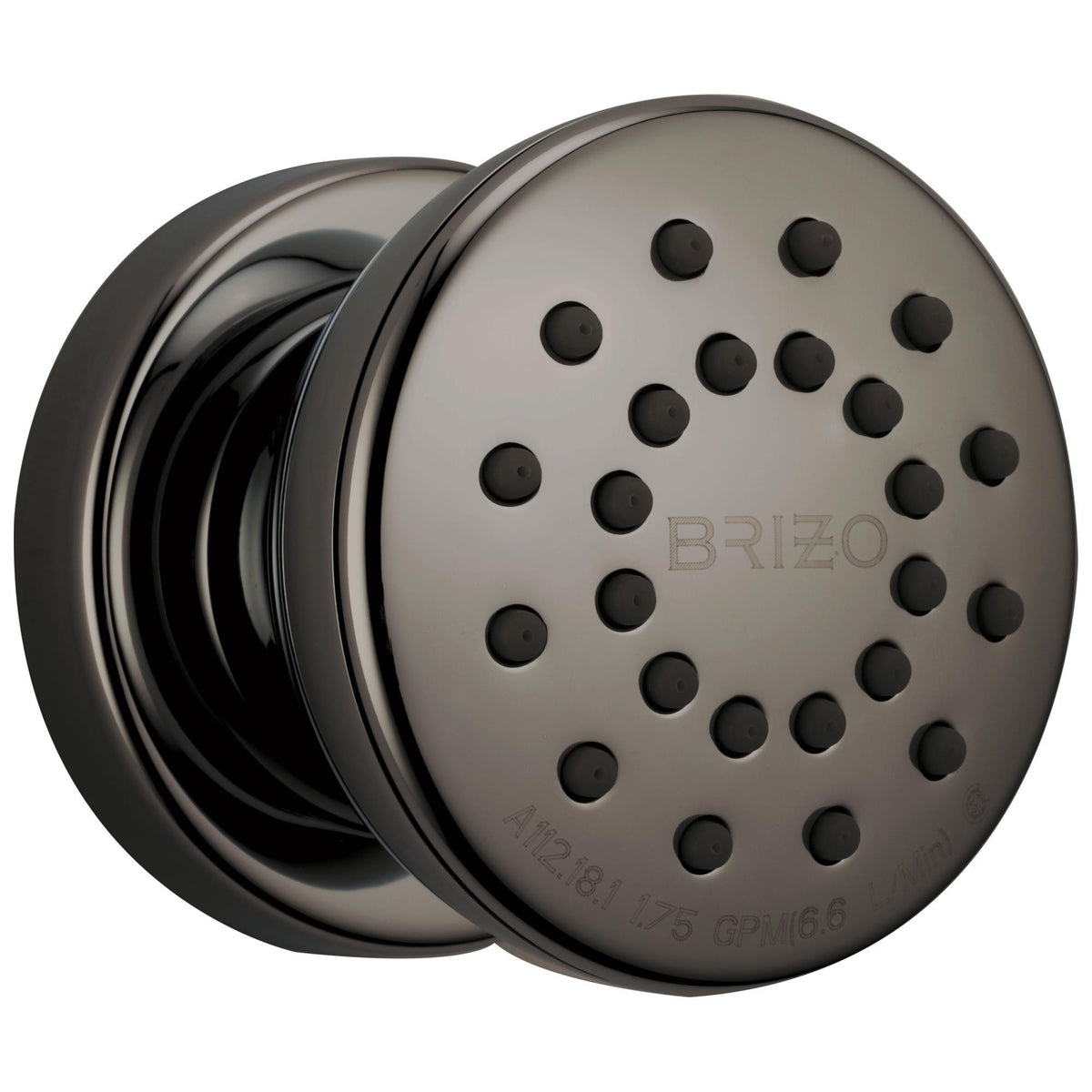 Brizo® 84110-BNX Essential™ Shower Series Hydrachoice Max® Spray Head, Round Head, Wall Mount, Import
