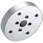 Raincan Shower Head - Brass - 2 GPM