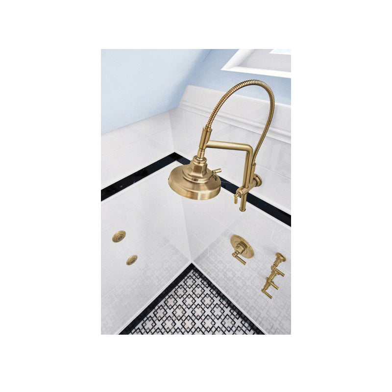 Brizo® Invari™ Shower Head, 2.5 gpm Max Flow, 4 Sprays, 3.06 in L x 4 in W x 10.75 in H Head, Import