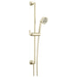 Brizo® 88765-PN Beauclere™ Hand Shower, 3-11/16 in Dia 4-Function Shower Head, 1.75 gpm Flow Rate, 60 to 82 in L Hose, 1/2 in - 14 NPT Connection, Polished Nickel, Import