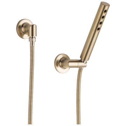 Brizo® 88875 Wall Mount Hand Shower