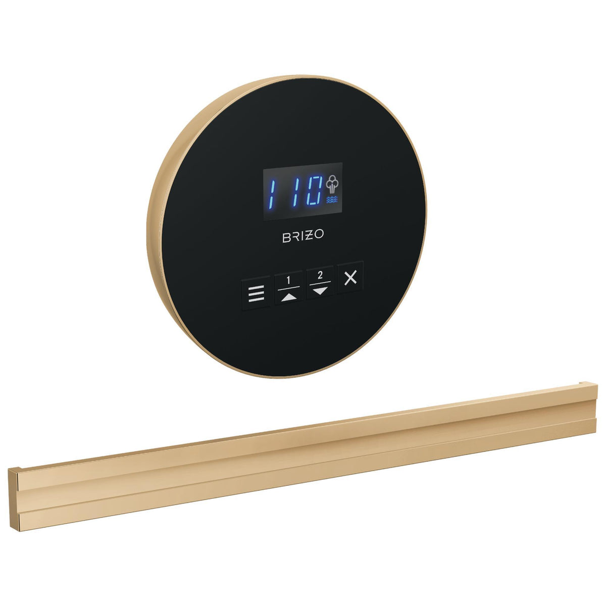 Bilateral Steam Shower Control - 8CB-250R-PG-L