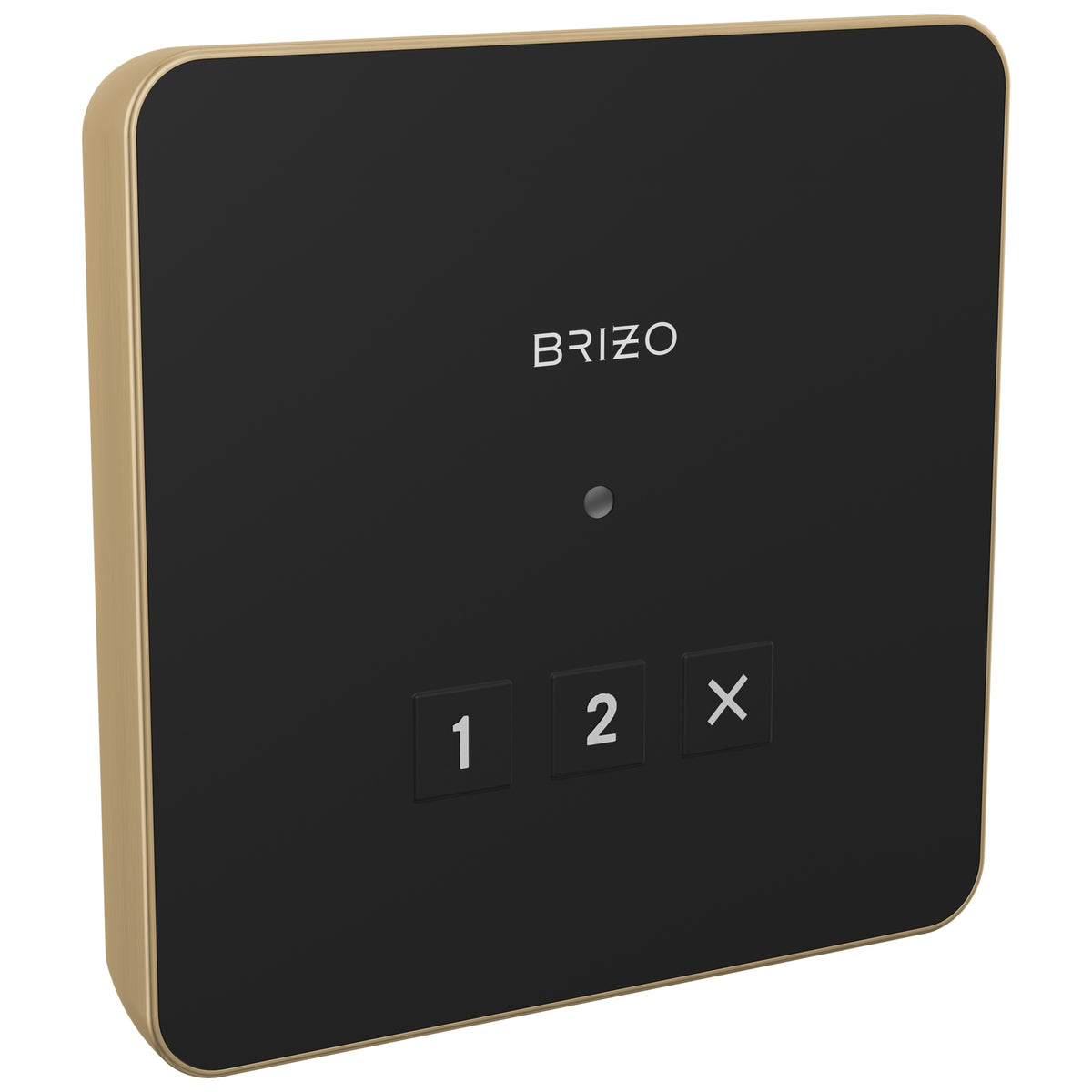 Square Steam Shower Control - 8CN-220L-GL-L