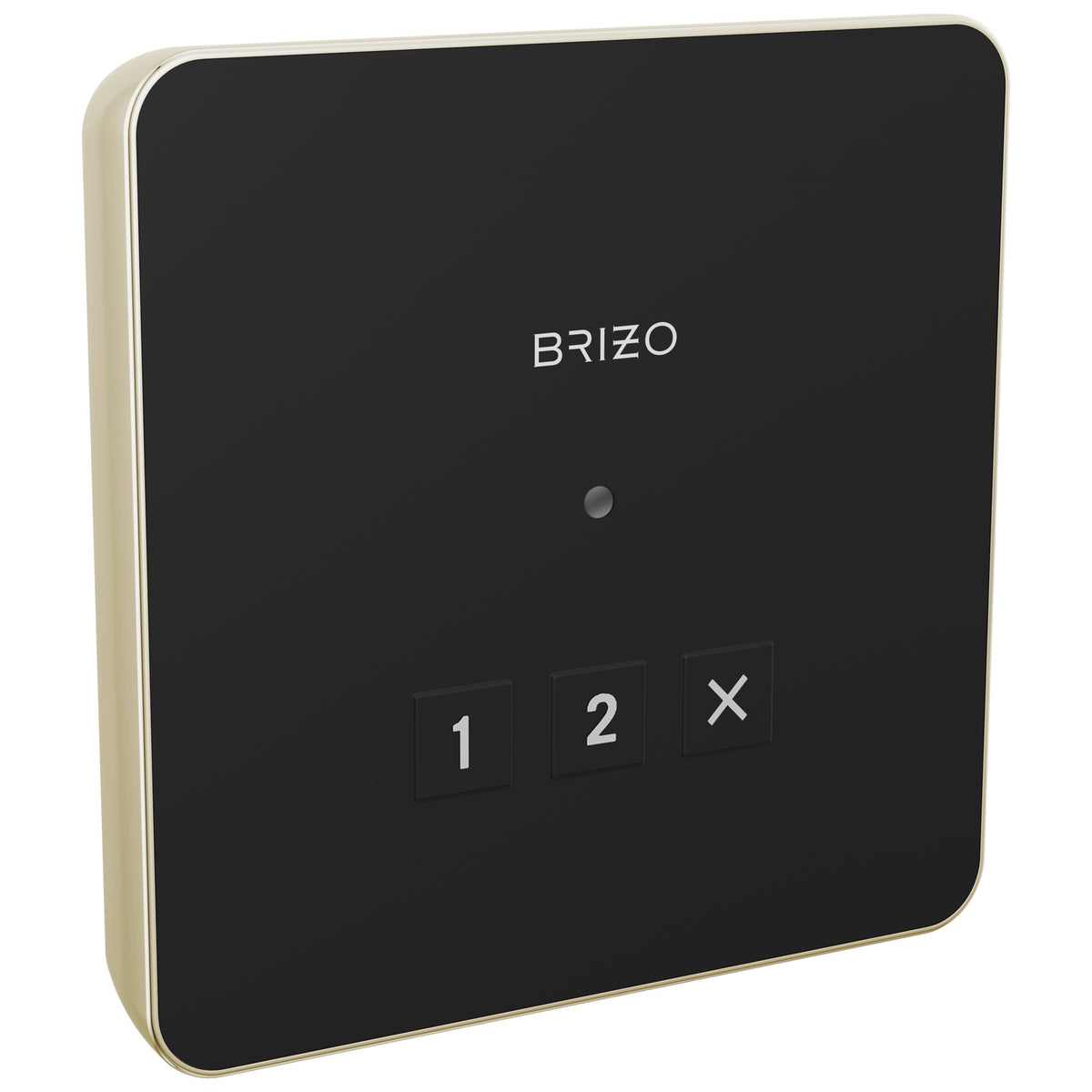 Square Steam Shower Control - 8CN-220L-PN-L