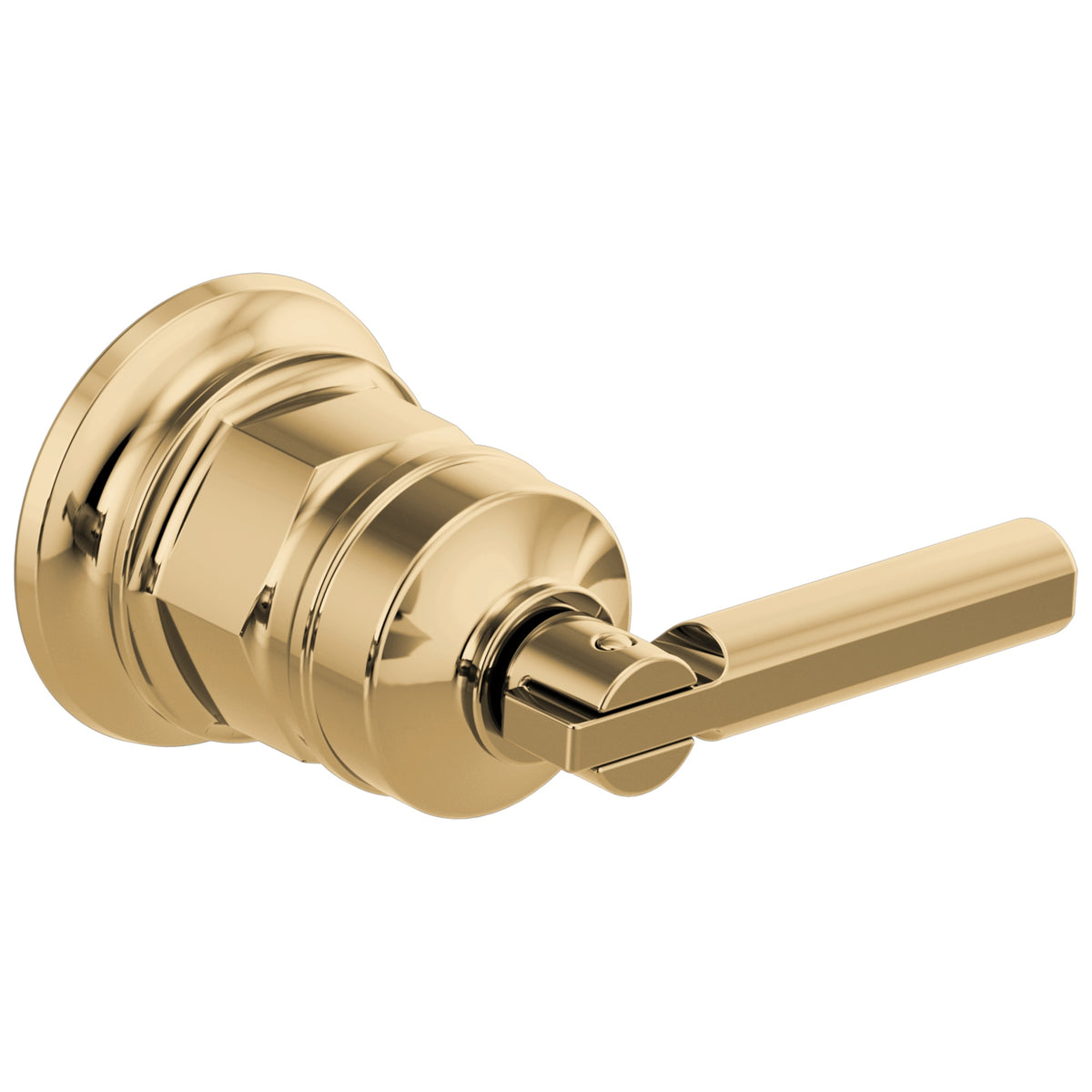 Brizo® HL5876 Invari™ Handle Kit, Brizo® Invari™ Handle Kit, For Use With Invari™ T65776LF-LHP/T65776LF-LHP-ECO Wall Mount Lavatory Faucet, Import