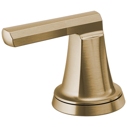 Brizo® Lever Handle Kit, For Use With Levoir™ Bidet Faucet, Import