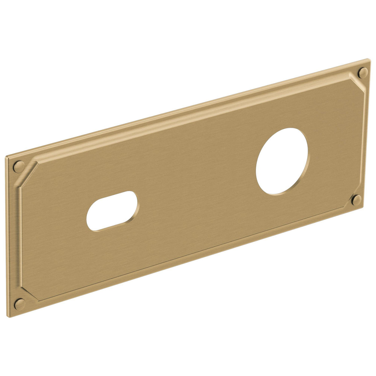 Brizo® Invari™ Escutcheon Plate, For Use With Invari™ T65776LF-LHP 2-Hole Wall Mount Lavatory Faucet, 0.19 in L x 9-1/2 in W x 3-1/2 in H, Import