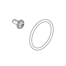 Brizo® RP100983 Screw and O-Ring, 0.38 in OAL