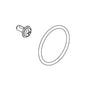 Brizo® RP100983 Screw and O-Ring, 0.38 in OAL