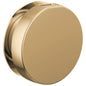 Contemporary Round Steam Head - Polished Gold - 3-3/8" Dia