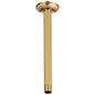 Shower Arm and Flange - Polished Gold - 10" L