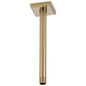 Shower Arm and Flange - Luxe Gold - 10" L