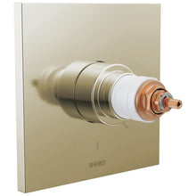 60 Series Square Thermostatic Valve Trim Only, Zinc