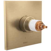 Tempassure - Valve Trim - Wall Mount - Zinc