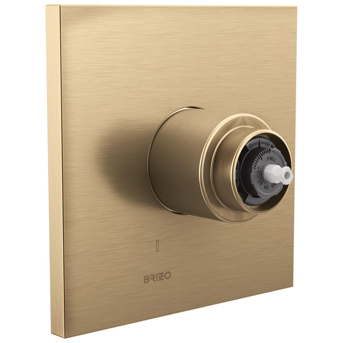 Pressure Balanced Trim - Luxe Gold - Zinc