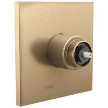 Pressure Balanced Trim - Luxe Gold - Zinc