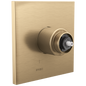Pressure Balanced Trim - Luxe Gold - Zinc