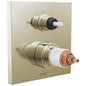 17 Series Square Thermostatic Valve Trim, Polished Nickel