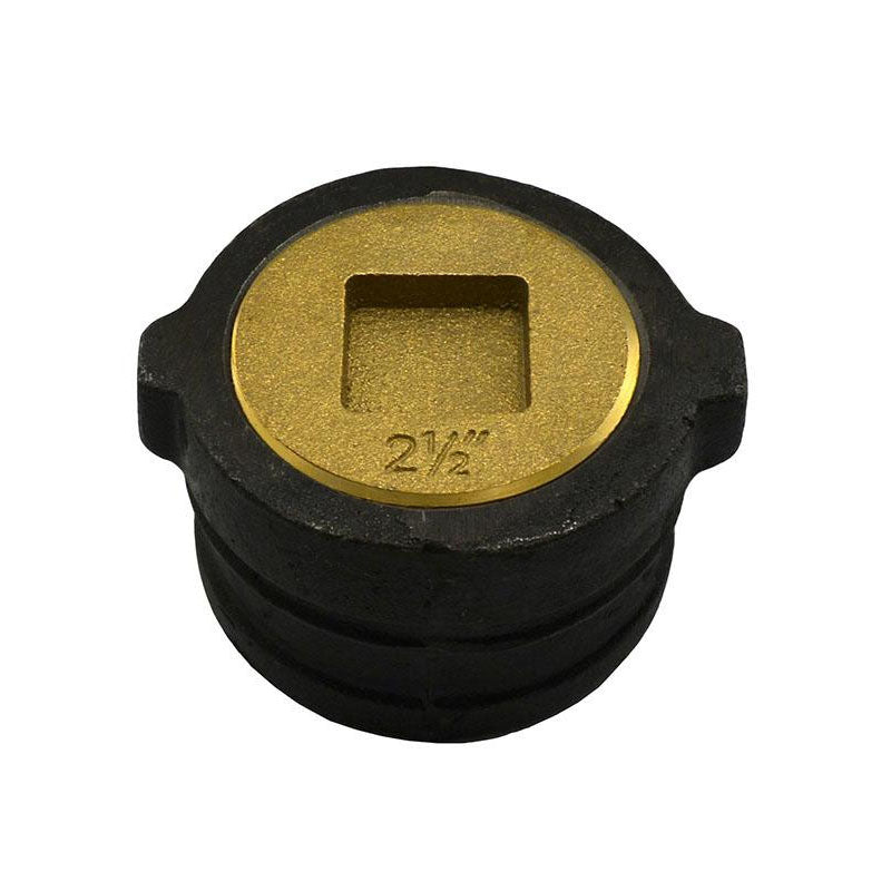 4 NH CO FTG W/CS BRS PLUG