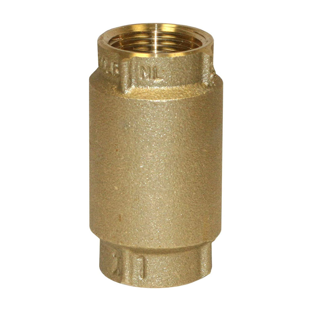 1 BR CHECK VALVE