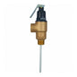 Fvmx - 1" Combination Temperature/Pressure Relief Valve