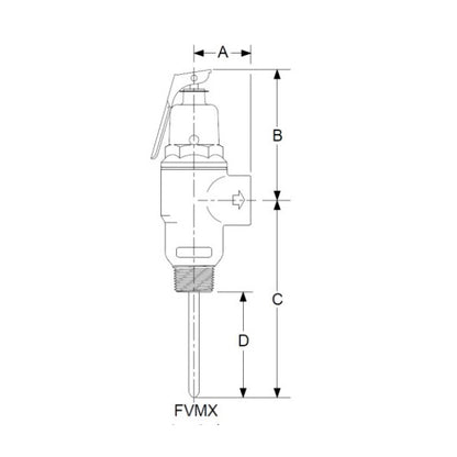 Fvmx - 1" Combination Temperature/Pressure Relief Valve