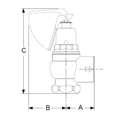 F-95 Expanded Outlet Pressure Relief Valve - Iron Body