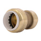 3/4" Transition Coupling - Brass - CTS x PVC